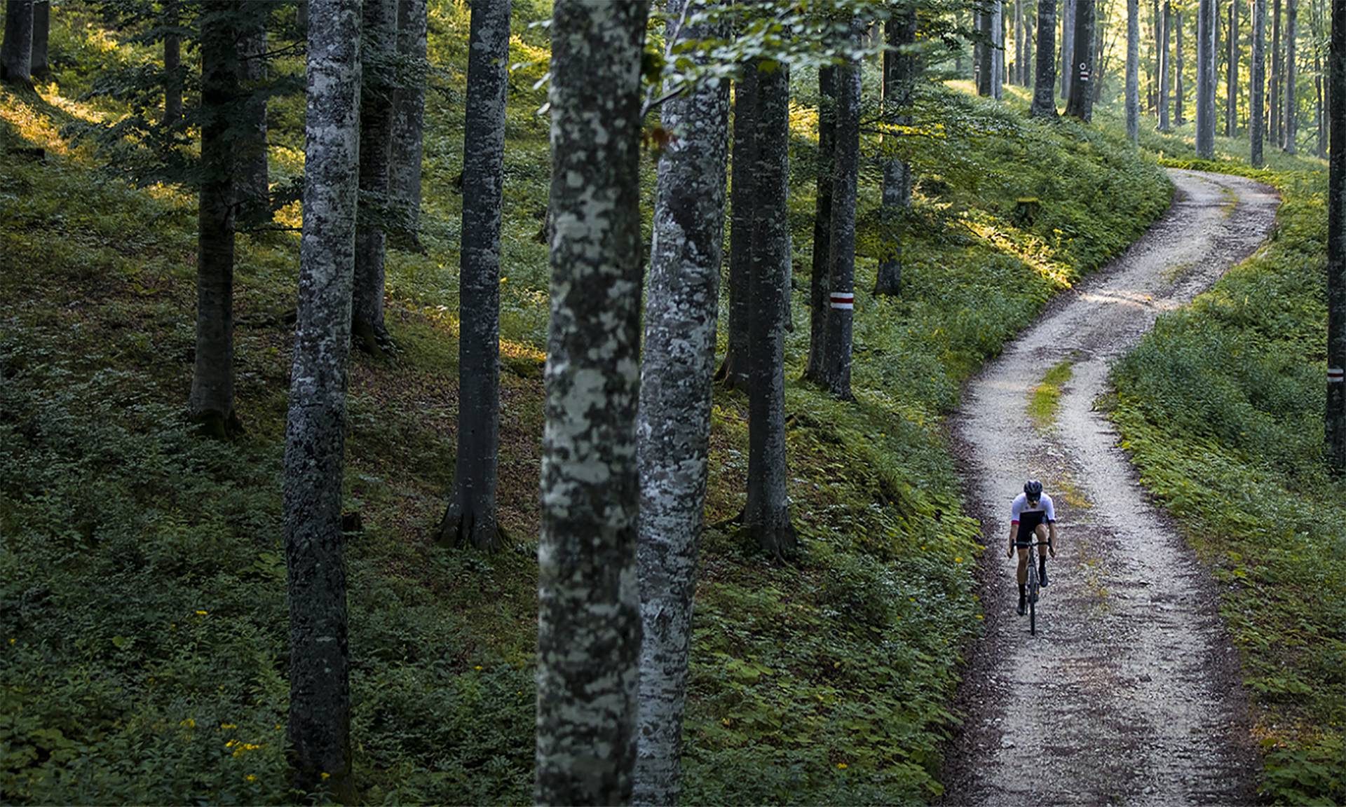 Wilier Triestina S.p.a.